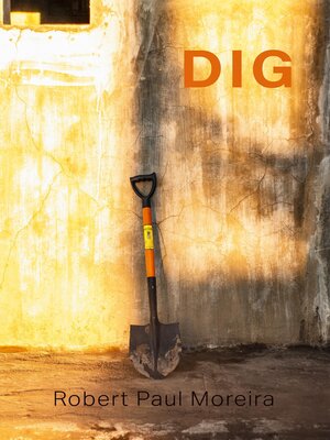 cover image of Dig